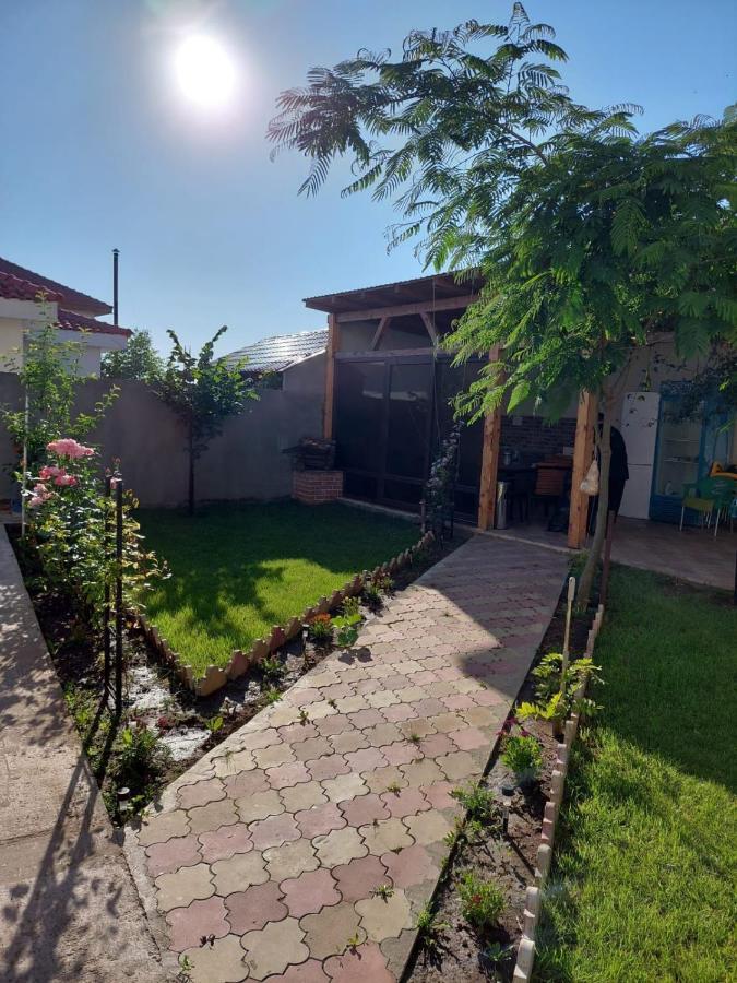 Albdevara Mar Srl Vama Veche Exterior foto